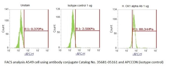 Human Casein Kinase 1 alpha (CK1 alpha) AssayLite Antibody (APC Conjugate) - Image 2