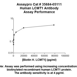 Human LCMT1 Antibody