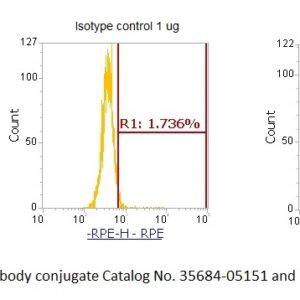Human LCMT1 AssayLite Antibody (RPE Conjugate)