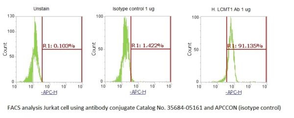 Human LCMT1 AssayLite Antibody (APC Conjugate)