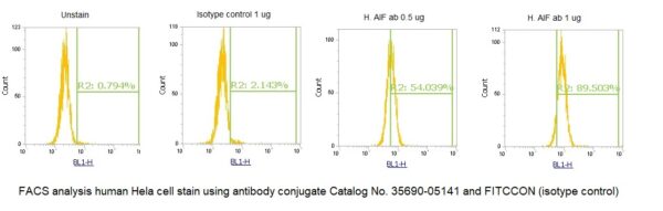 Human Apoptosis-Inducing Factor 1 (AIF) AssayLite Antibody (FITC Conjugate) - Image 2