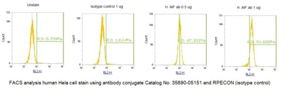 Human Apoptosis-Inducing Factor 1 (AIF) AssayLite Antibody (RPE Conjugate) - Image 2
