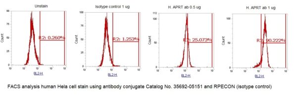 Human Adenine Phosphoribosyltransferase (APRT) AssayLite Antibody (RPE Conjugate) - Image 2