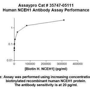 Human Neutral Cholesterol Ester Hydrolase 1 (NCEH1) Antibody