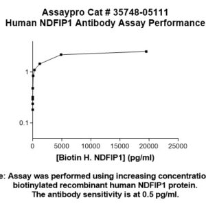 Human NEDD4 Family-Interacting Protein 1 (NDFIP1) Antibody
