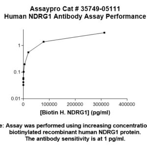 Human N-myc Downstream Regulated 1 protein (NDRG1) Antibody