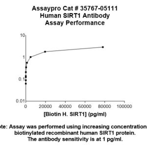 Human Sirtuin 1 (SIRT1) Antibody