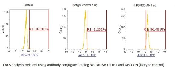 Human 26S Proteasome Subunit S5B (PSMD5) AssayLite Antibody (APC Conjugate)