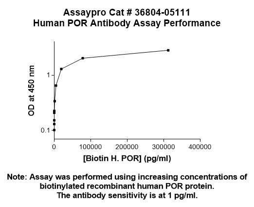 Human Cytochrome P450 Reductase Antibody