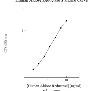 Human Aldose Reductase (AR) AssayMax ELISA Kit