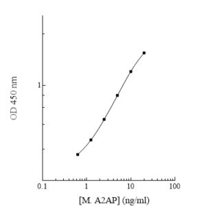 Human alpha-2-Antiplasmin AssayMax ELISA Kit