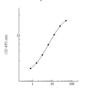 Human Cathepsin F (CTSF) AssayMax ELISA Kit