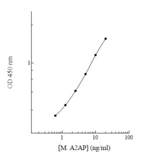 Mouse alpha-2-Antiplasmin ELISA Kit