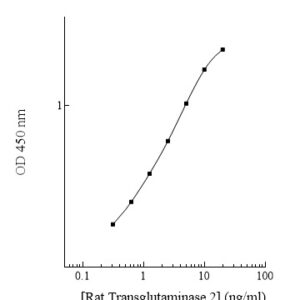 Rat Transglutaminase 2 (TGM2) AssayMax ELISA Kit