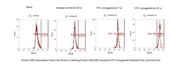 Human ADP-ribosylation Factor-like Protein 2-Binding Protein (ARL2BP) AssayLite FITC-Conjugated Antibody Flow Cytometry Kit