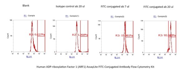 Human ADP-ribosylation Factor 1 (ARF1) AssayLite FITC-Conjugated Antibody Flow Cytometry Kit