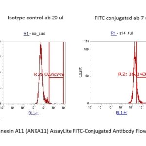 Human Annexin A11 (ANXA11) AssayLite FITC-Conjugated Antibody Flow Cytometry Kit