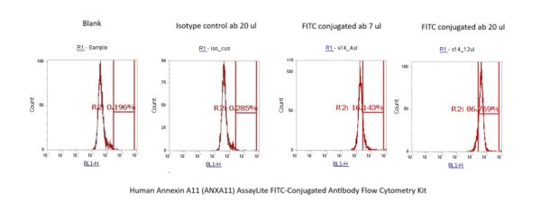 Human Annexin A11 (ANXA11) AssayLite FITC-Conjugated Antibody Flow Cytometry Kit