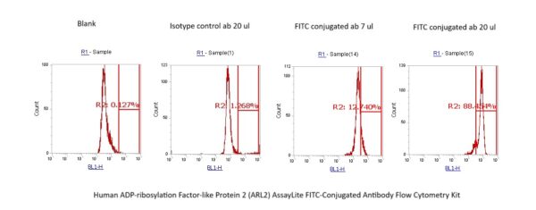 Human ADP-ribosylation Factor-like Protein 2 (ARL2) AssayLite FITC-Conjugated Antibody Flow Cytometry Kit