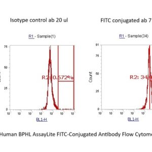 Human BPHL AssayLite FITC-Conjugated Antibody Flow Cytometry Kit