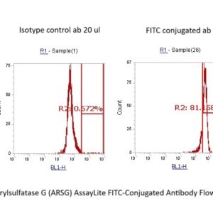 Human Arylsulfatase G (ARSG) AssayLite FITC-Conjugated Antibody Flow Cytometry Kit