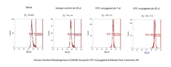Human Alcohol Dehydrogenase 6 (ADH6) AssayLite FITC-Conjugated Antibody Flow Cytometry Kit