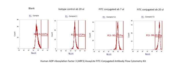 Human ADP-ribosylation Factor 3 (ARF3) AssayLite FITC-Conjugated Antibody Flow Cytometry Kit