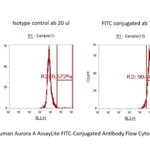 Human Aurora A AssayLite FITC-Conjugated Antibody Flow Cytometry Kit