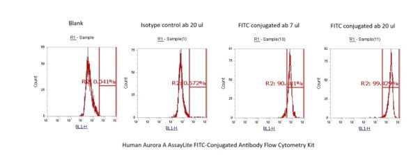 Human Aurora A AssayLite FITC-Conjugated Antibody Flow Cytometry Kit