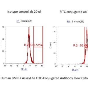 Human BMP-7 AssayLite FITC-Conjugated Antibody Flow Cytometry Kit