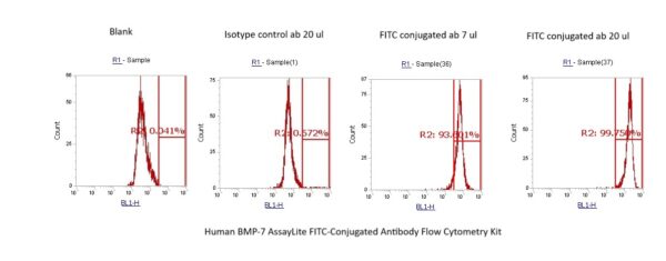 Human BMP-7 AssayLite FITC-Conjugated Antibody Flow Cytometry Kit