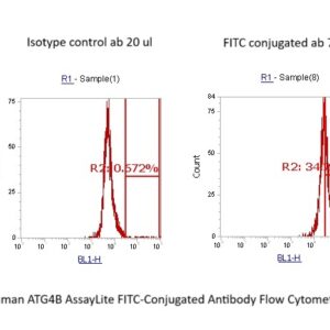 Human ATG4B AssayLite FITC-Conjugated Antibody Flow Cytometry Kit