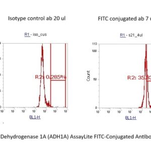 Human Alcohol Dehydrogenase 1A (ADH1A) AssayLite FITC-Conjugated Antibody Flow Cytometry Kit