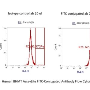Human BHMT AssayLite FITC-Conjugated Antibody Flow Cytometry Kit