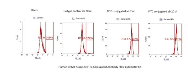Human BHMT AssayLite FITC-Conjugated Antibody Flow Cytometry Kit