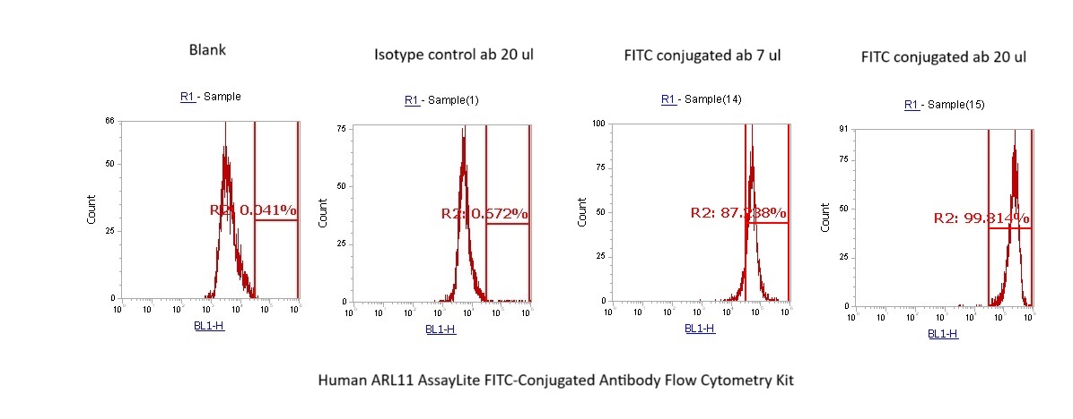 Human ARL11 AssayLite FITC-Conjugated Antibody Flow Cytometry Kit