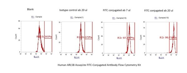 Human ARL5B AssayLite FITC-Conjugated Antibody Flow Cytometry Kit