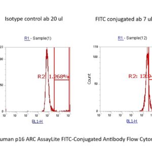 Human p16 ARC AssayLite FITC-Conjugated Antibody Flow Cytometry Kit