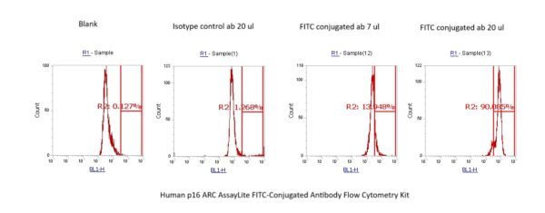 Human p16 ARC AssayLite FITC-Conjugated Antibody Flow Cytometry Kit