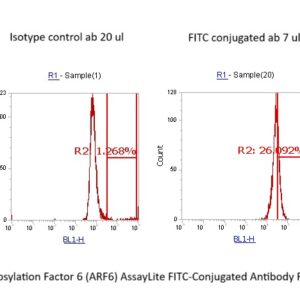 Human ADP-ribosylation Factor 6 (ARF6) AssayLite FITC-Conjugated Antibody Flow Cytometry Kit