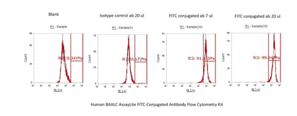 Human BAALC AssayLite FITC-Conjugated Antibody Flow Cytometry Kit