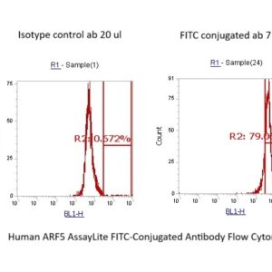 Human ARF5 AssayLite FITC-Conjugated Antibody Flow Cytometry Kit