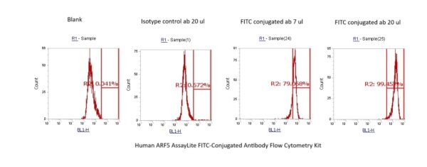 Human ARF5 AssayLite FITC-Conjugated Antibody Flow Cytometry Kit
