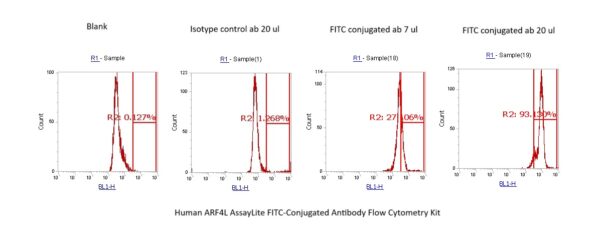 Human ARF4L AssayLite FITC-Conjugated Antibody Flow Cytometry Kit
