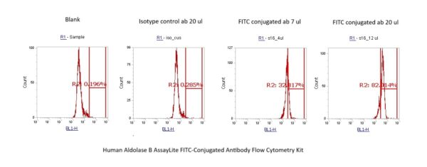 Human Aldolase B AssayLite FITC-Conjugated Antibody Flow Cytometry Kit