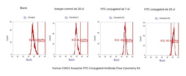 Human CIAO1 AssayLite FITC-Conjugated Antibody Flow Cytometry Kit