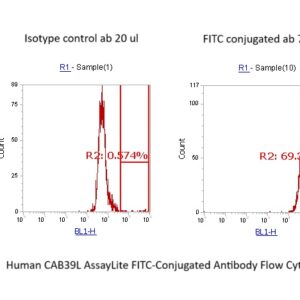 Human CAB39L AssayLite FITC-Conjugated Antibody Flow Cytometry Kit