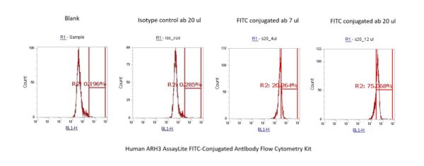 Human ARH3 AssayLite FITC-Conjugated Antibody Flow Cytometry Kit