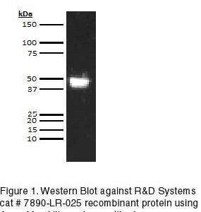 Human Leucine-rich alpha-2-Glycoprotein (LRG1) ELISA Kit