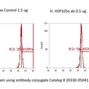 Human Heat Shock Protein 105a (HSP105a) AssayLite Antibody (FITC Conjugate)